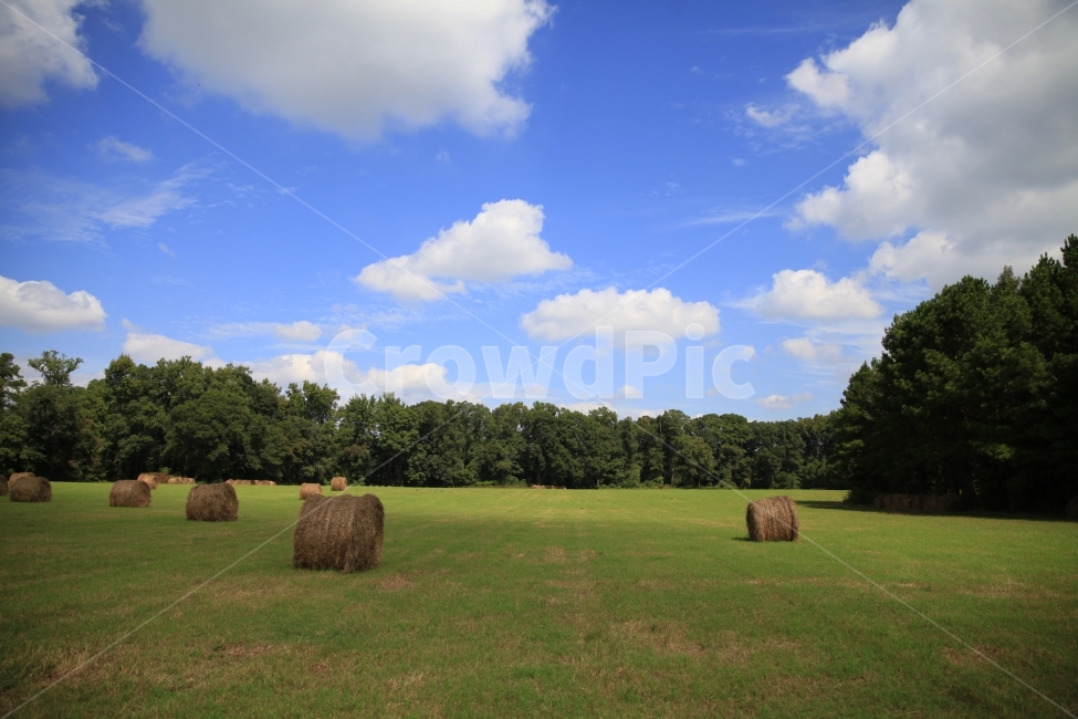 농사,들판,초원,베일,베일러,자연,풍경,nature,landscape,시골,마을,country,rural,town,산업,industry,industrial,농업,농사,agriculture,farming,farming industry,outdoors,옥외,field,들