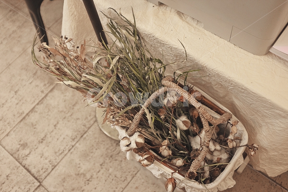 감성사진,꽃,장식,실내,색감,필름,emotion,flower,decoration,interior,color,film,감성,sensible,feeling,인테리어,실내디자인,interior design