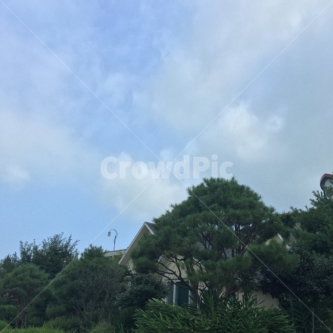 마을,감성,필름,하늘,풍경,빈티지,자연,풍경,nature,landscape,outdoors,옥외