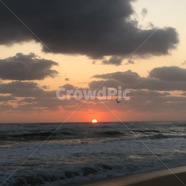 일출,해,sun,태양,바다,새벽,nature,자연,water,sea,물,ocean,대양,sunset,redsky,자연,풍경,nature,landscape