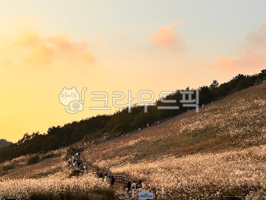 제주도,오름,새별오름,노을,자연