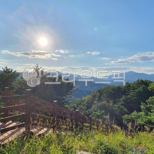 강원도,양양,풍경,경치,경관,산골,산골마을,마을,농업,농사,짚라인,빛,플레어,light,nature,outdoors,옥외,자연,나무,풀,태양,flare,agriculture,farming