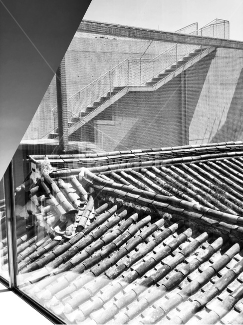 roof,지붕,기와,기와집,흑백,한옥,흑백,모노톤,monochrome,black and white