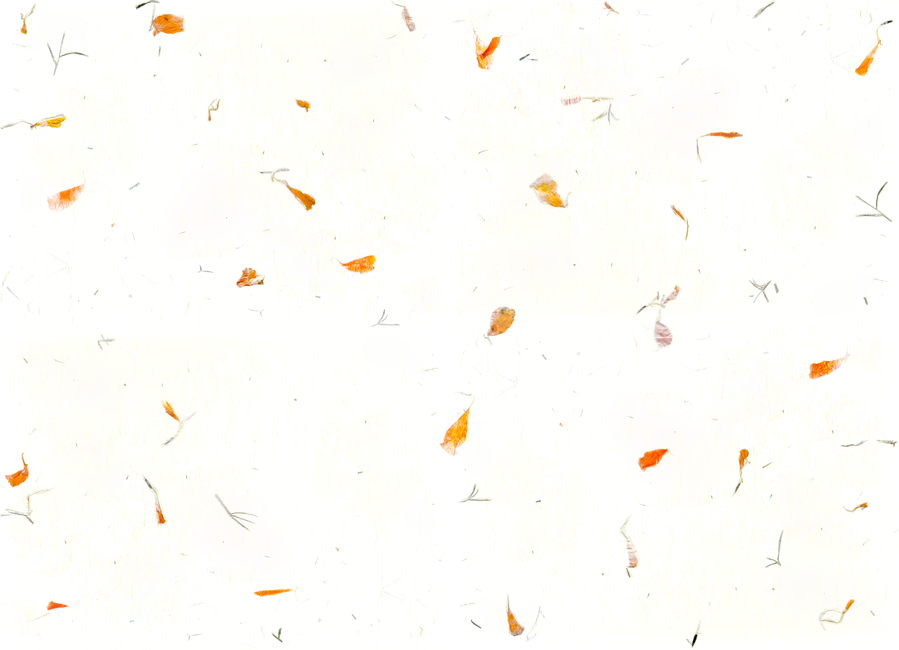 한지,꽃잎,배경,종이,한국,전통,질감,바탕,옆서,편지,동양,선비,조선,텍스쳐,패턴,문양,배경지,꽃잎한지