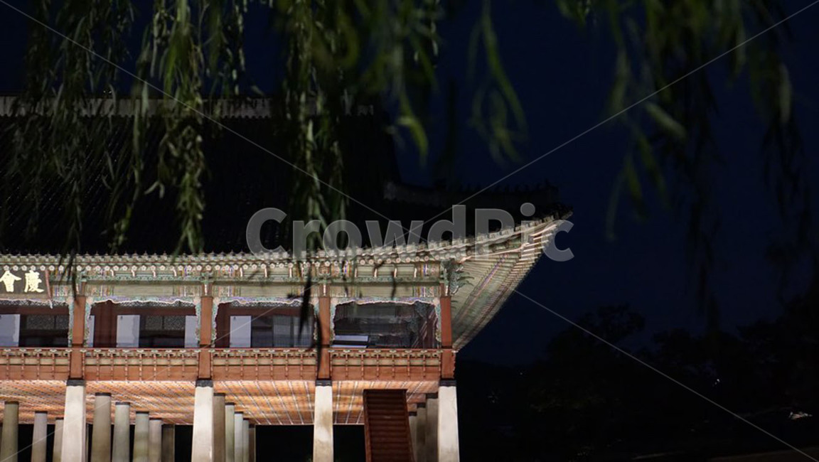 고궁,문화재,전통,야간개장,경복궁,한국,야경,밤,풍경,nightscape,night,landscape,한국전통,한국문화,korean traditional,korean culture,건축물,건물외관,exterior,building,structure,architecture,construction,건물