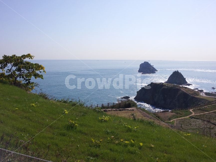 바다,들판,풍경,제주,수평선,푸른,동산,sea,jeju,horizon,자연,풍경,nature,landscape,한국자연풍경,한국자연경관,korea nature landscape,outdoors,옥외,land,땅,water,물,ocean,대양,shoreline,해안선