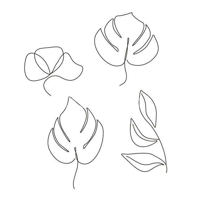 식물,잎,이파리,잎드로잉,leaf,drawin,몬스테라,그래픽,일러스트레이션,graphic,illustration