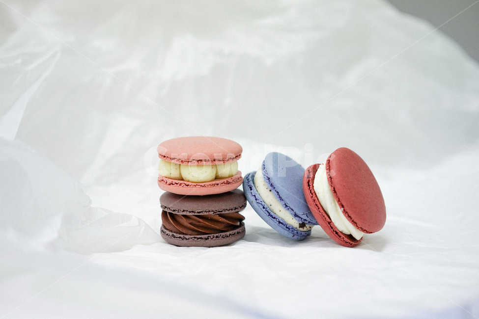 macaron,meringue,dessert,cookie,macaroon,snack,Snacks,confectionery,sweet,food,Arrangement