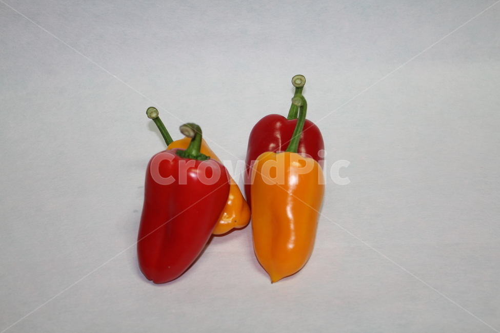 피망,애채,채소,식재료,신선식풍,음식료,신선,야채,음식,식재료,요리,food,cook,meal,dishes,food reserves,채소,야채,vegetables