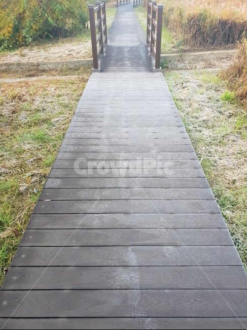 숲,산책,길,자연,나무,힐링서리,산책로,나무다리,자연,풍경,nature,landscape,path,통로,building,건물,staircase,계단