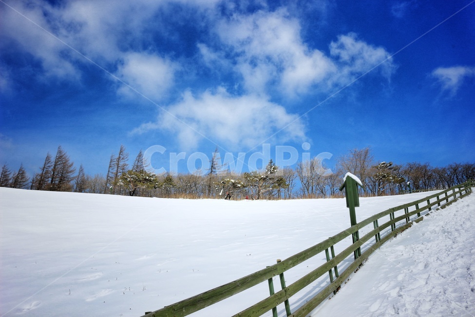 겨울,눈,산,겨울산,snow,winter,입동,대한,소한,설경,경치,하얀색,맑음,하양,낭만,동화,한파,대설,background,겨울,계절,winter,season,자연,풍경,nature,landscape,handrail,난간,banister