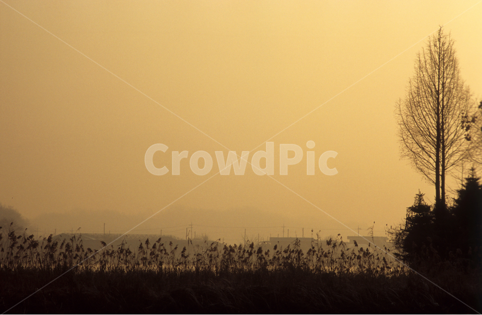 강,풍경,가을,아침,자연,river,landscape,fall,morning,가을,계절,fall,autumn,season,실루엣,그림자,silhouette,shadow,nature