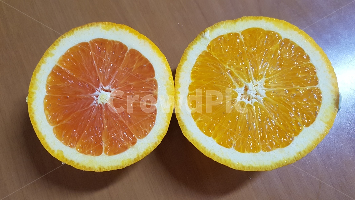 오렌지,카라카라오렌지,네이블오렌지,오렌지속살,오렌지비교