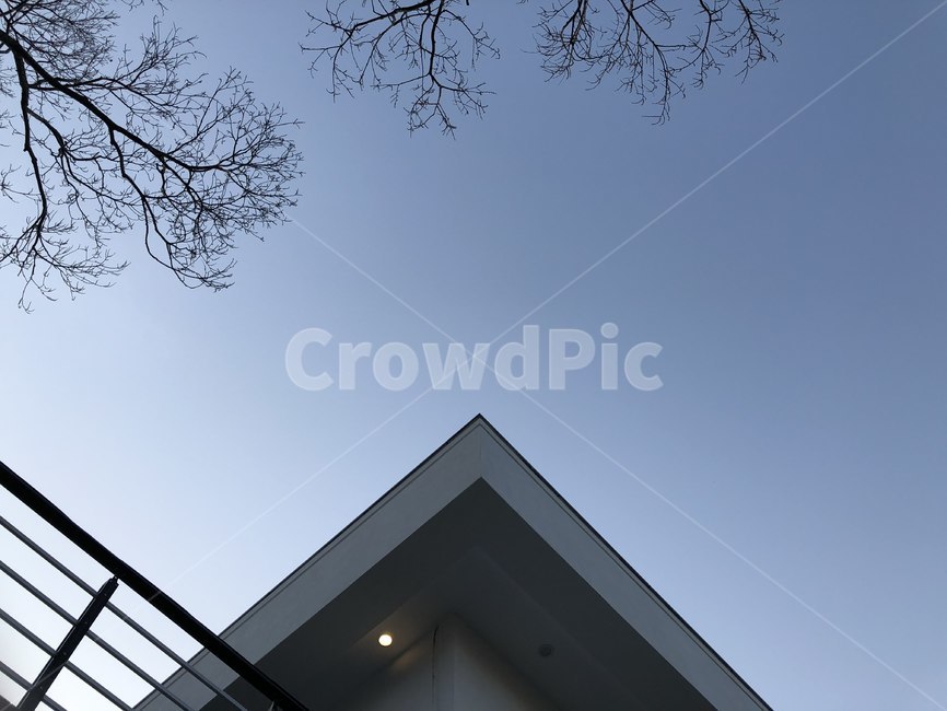 건축,하늘,나뭇가지,구름,낮,건축물,건물외관,exterior,building,structure,architecture,construction