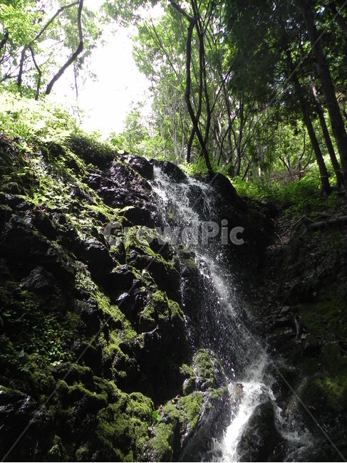 폭포,숲,자연,waterfall,nature,water,물,outdoors,옥외,자연,풍경,nature,landscape