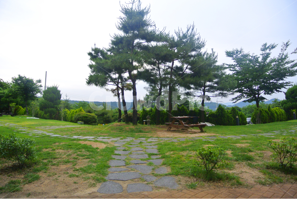 forest,natural scenery,tree,pretty road,nature background