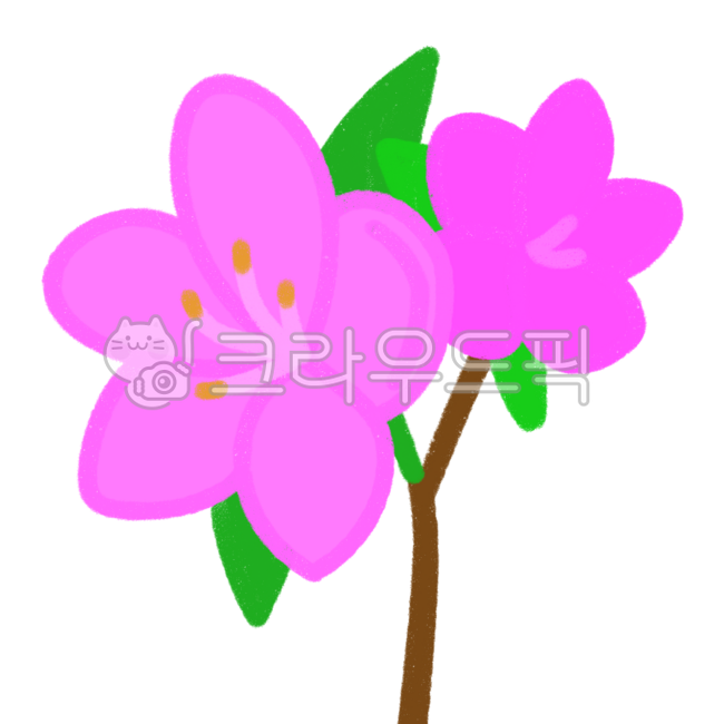spring,flower,pink,pink flower,spring flower,pink spring,spring flower pink,azalea,azalea flower,pink azalea,pink,pink flower,spring flower pink,pink azalea,pink spring