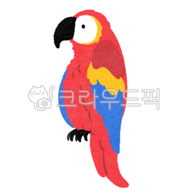 동물자료,어린이집,유치원,동물캐릭터,앵무새,앵무새캐릭터,앵무새일러스트,귀여운앵무새