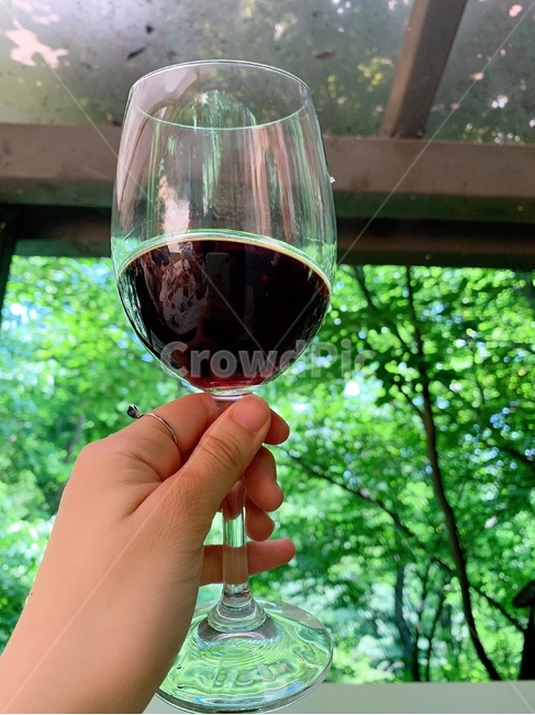와인잔,와인,wine,음료,술,음주