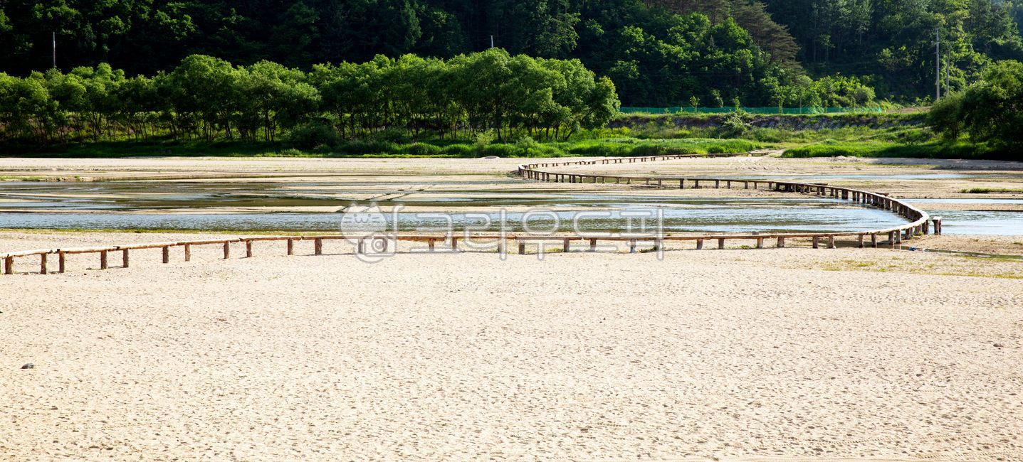 forest,tourist destination,countryside,exterior,clear,tree,scenery,water,outdoor,sand,singlewood bridge,outdoors,outside,clear weather,bridge,sunny