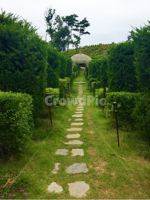 오솔길,정원,나무,green,road,산책,자연,풍경,nature,landscape,outdoors,옥외
