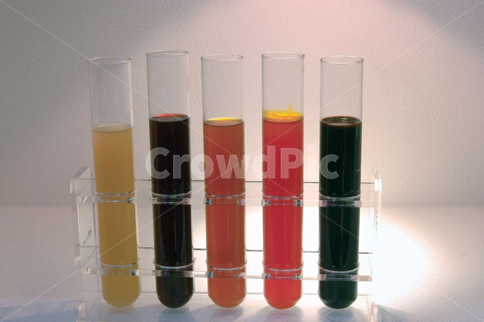 실험,실험기구,과학,화학,비이커,컬러,칼라,컬러풀,교육,색상,beaker,experiment,chemistry,science,교육,학교,공부,education,learning,study,school,사물,물건,오브젝트,thing,object,matter