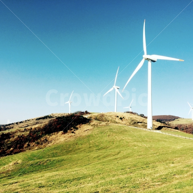 강원도,한국,목장,양떼목장,언덕,산,풍력발전기,풀,하늘,푸른색,korea,grass,자연,풍경,nature,landscape,산업,industry,industrial,에너지산업,energy industry,engine,엔진,motor,모터,machine,기계