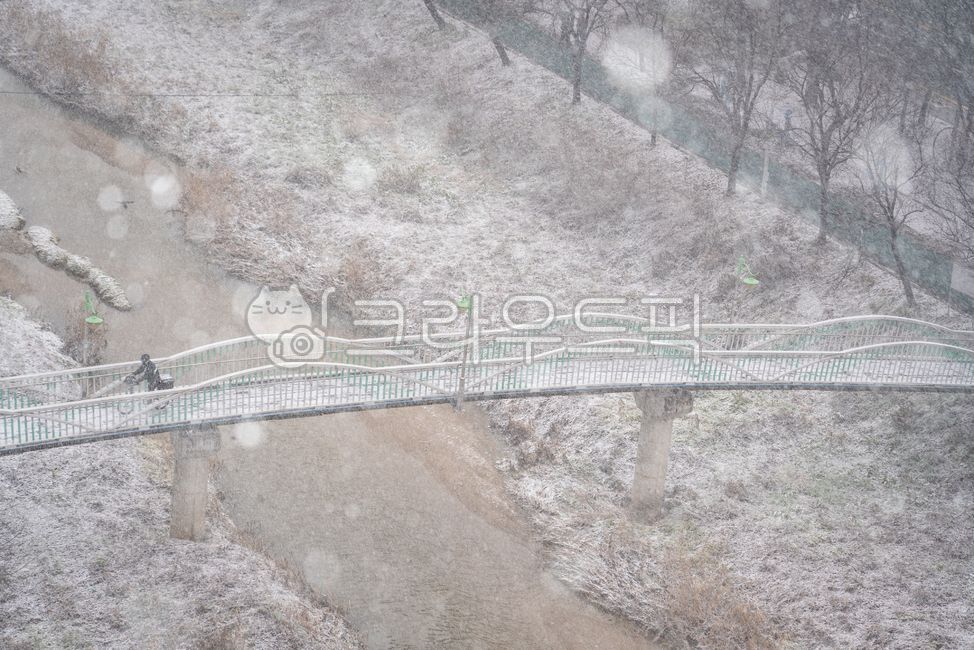 winter mood,snow scene,heavy snow,winter,cold,bright eyes,calamity,Natural Disasters,big eyes,Heavy snow warning,weather,sight,season,snowflake,nature,snowstorm,outdoor,outdoors,snow,winter landscape,icicle