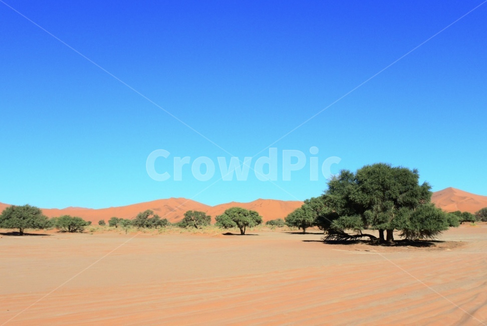soil,흙,nature,자연,outdoors,옥외,sand,모래,desert,사막,세계자연풍경,해외자연풍경,외국자연풍경,world nature landscape
