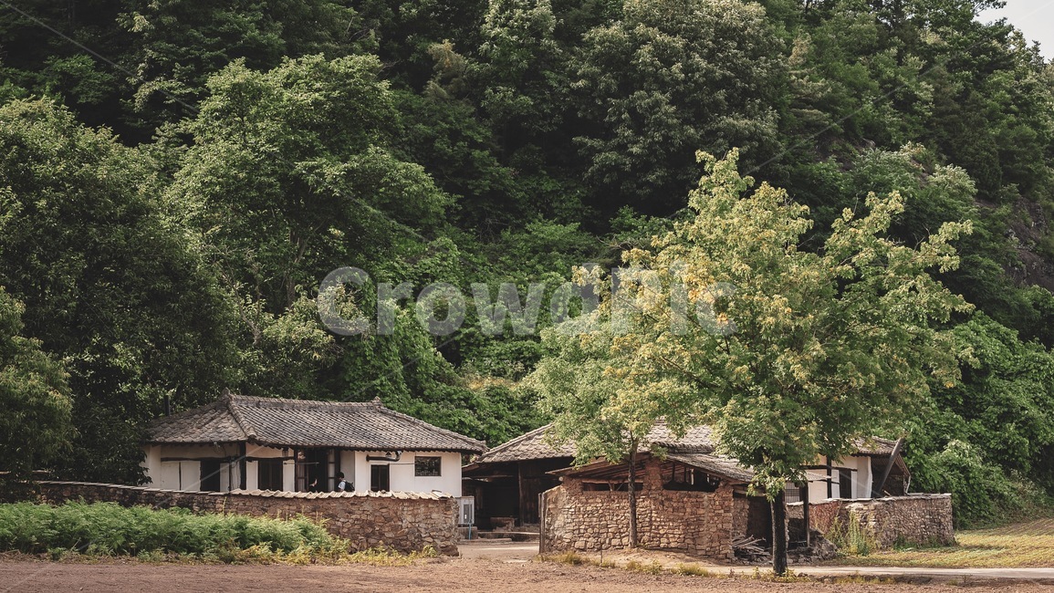 자연,nature,outdoors,countryside,building,리틀포레스트,시골,마을,풍경,landscape,country,rural,town
