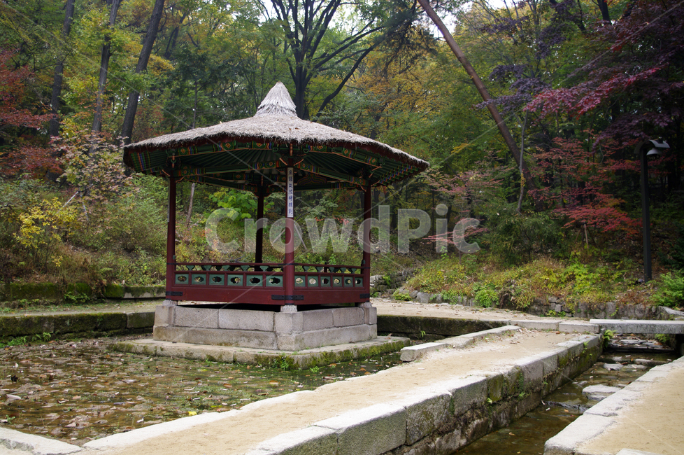 청의정,창덕궁후원,고궁,건축,전통건축,traditional,전통,가을,fall,나무,식물,plant,단풍,한국전통,한국문화,korean traditional,korean culture,건축물,건물외관,exterior,building,structure,architecture,construction