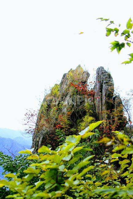가을,풍경,산,바위,나무,자연,풍경,nature,landscape,outdoors,옥외