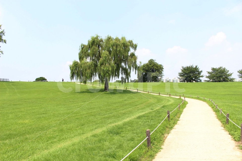 하늘,나무,식물,자연,야외,공원,정원,풍경,길,오솔길,자연,풍경,nature,landscape,grass,잔디,plant,lawn