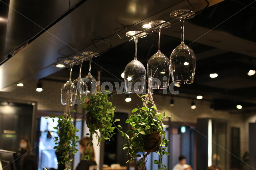 카페,cafe,와인잔,펍,술집,pottedplant