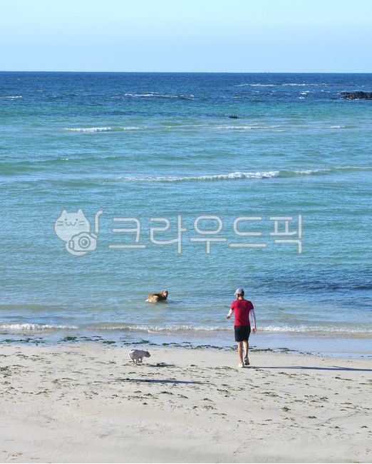 Beach,ocean,Jeju Beach,jeju island,Jeju sea