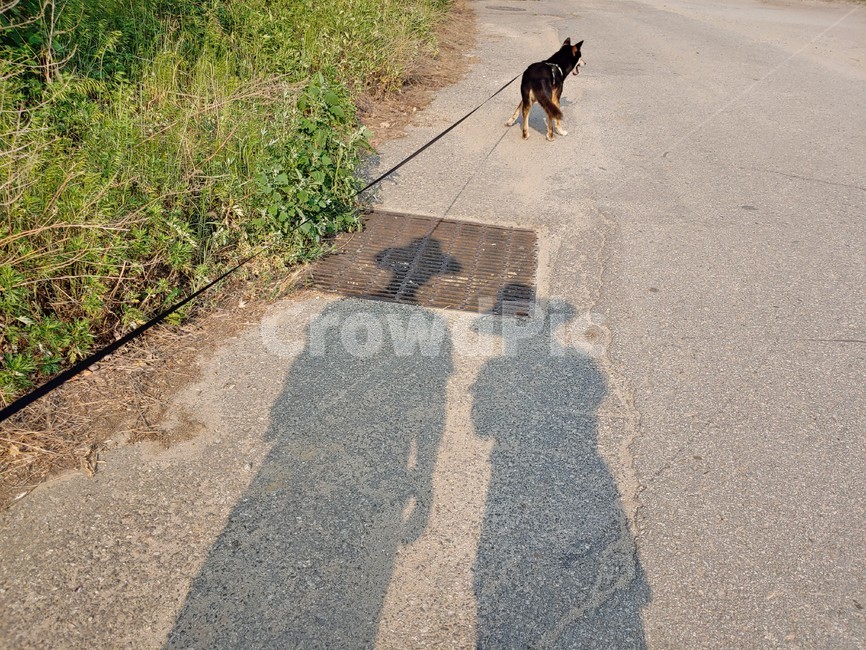 그림자,개,산책,실루엣,아스팔트,people,shadow,dog,road,walkway,목줄,두사람,모자,길,배경