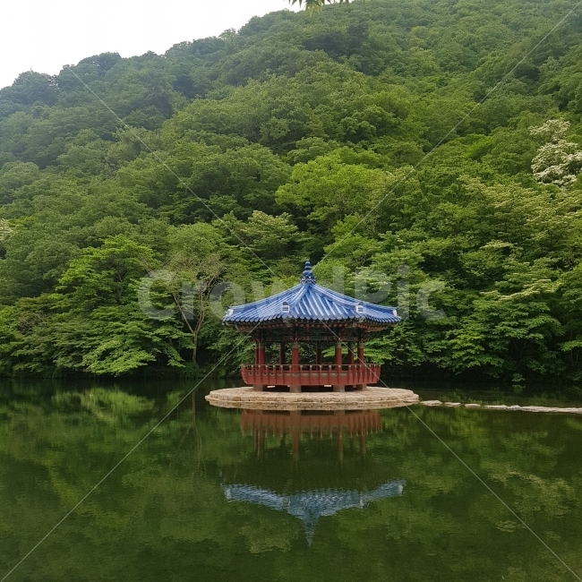 전라북도,정읍,내장산,내장사,여행,국내여행,전라도,정자,산,travel,korea,mountain,숲,조용한,예쁜,고요한,자연,풍경,nature,landscape,한국전통,한국문화,korean traditional,korean culture