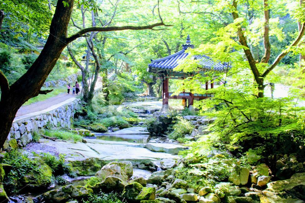 가을,풍경,산,바위,나무,자연,풍경,nature,landscape,한국자연풍경,한국자연경관,korea nature landscape,outdoors,옥외,human,인간,person,사람