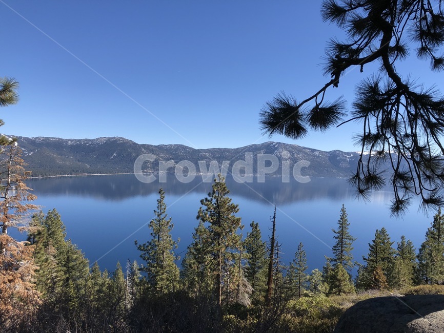 호수,캘리포니아,자연,타호,소나무,lake,california,tree,nature,나무,가지,물,water