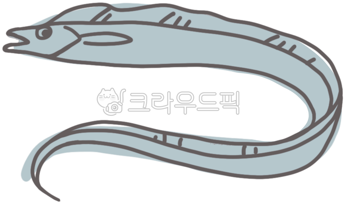 갈치,은갈치,제주갈치,제주은갈치,생선,생선일러스트,일러스트,갈치일러스트