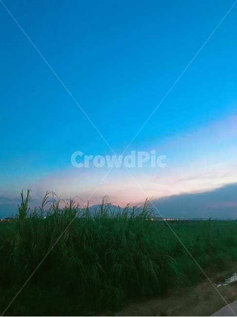 하늘,노을,sky,푸른,자연,blue,sunset
