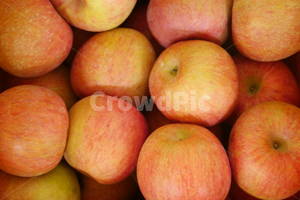 사과,과일,음식,food,빨강,애플,자연,음식,식재료,요리,food,cook,meal,dishes,food reserves,과일,열매,fruit