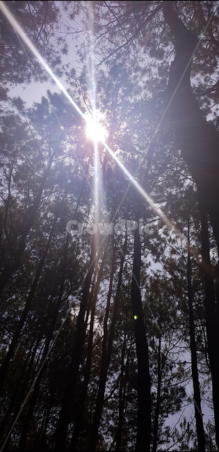 빛,flare,sunlight,햇빛,light,하늘