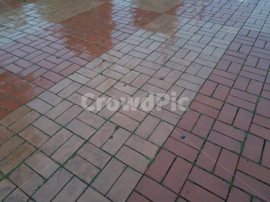 비오는날,비,rain,길,street,길가,인도,고독,조용,walkway,floor,flooring,sidewalk,pavement,flagstone,path,그림자,shadow,흐린날