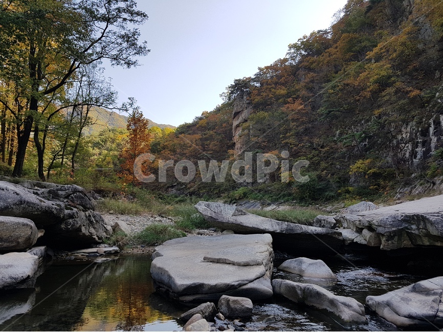 계곡,산,나무,바위,하선암,단양가볼만한곳,단양구경,단양여행,시원한계곡,가을경치,풍경사진,자연사진,가을사진,가을,계절,fall,autumn,season,자연,풍경,nature,landscape,한국자연풍경,한국자연경관,korea nature landscape,water,물,outdoors,옥외,stream,흐름,creek,작은 만