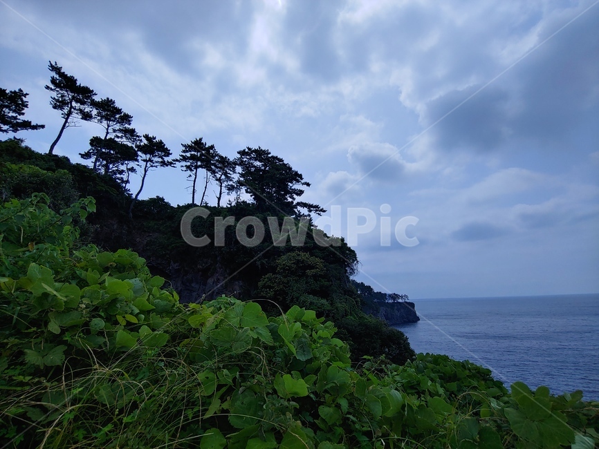 하늘,구름,바다,절벽,나무,풀,초록,파랑,cliff,blue,sky,sea,ocean,green,scenic,fresh,beatiful,아름다운,절경