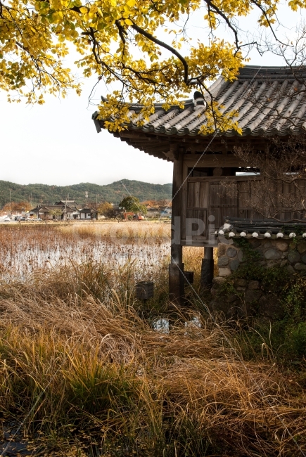 경주,서출지,이요당,전설,사적지,유적지,관광지,통일전,화랑교육원,경북산림환경연구원,가을,풍경,정자,한옥,전통건축,기와,처마,곡선,연못,신라,한국전통,가을,계절,fall,autumn,season,시골,마을,풍경,landscape,country,rural,town,한국전통,한국문화,korean traditional,korean culture,건축물,건물외관,exterior,building,structure,architecture,construction,outdoors,옥외,nature,자연,건물,농촌