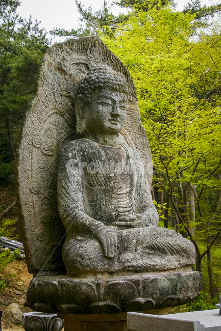 부처,석불,석불좌상,석가여래상,보리사,경주,남산,보물,조각상,동상,석상,조형물,statue,bronze statue,stone statue,종교,신앙,religion,belief,faith