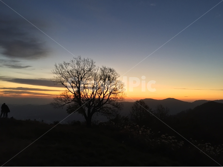 일출,풍경,하늘,오렌지,겨울,자연,풍경,nature,landscape,한국자연풍경,한국자연경관,korea nature landscape,실루엣,그림자,silhouette,shadow,outdoors,옥외,red sky,붉은 하늘,dawn,새벽,sunset,일몰,sky,dusk,황혼