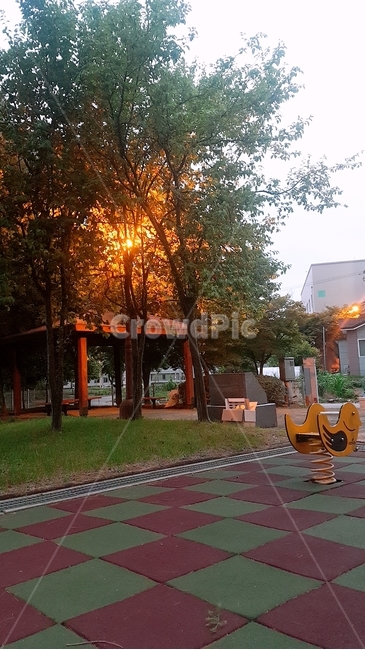 저녁풍경,놀이터,집앞,나무,노을